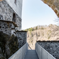 Archeonorico_Altburg (1)